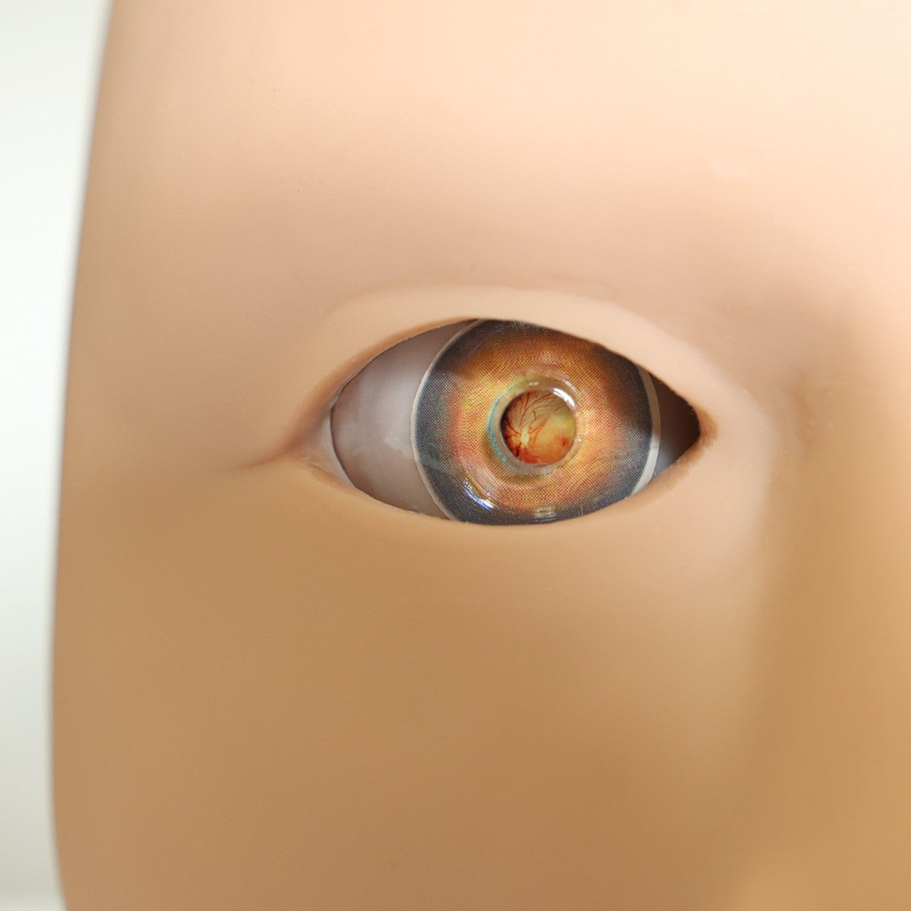 The Anatomy Lab-A-104445 Eye Retinopathy Trainer, 1/ea