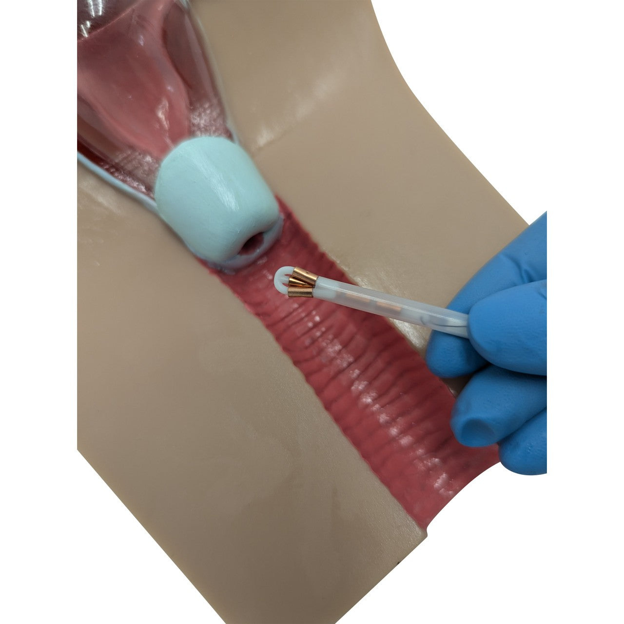 The Anatomy Lab-A-104452 IUD Insertion Model I, 1/ea