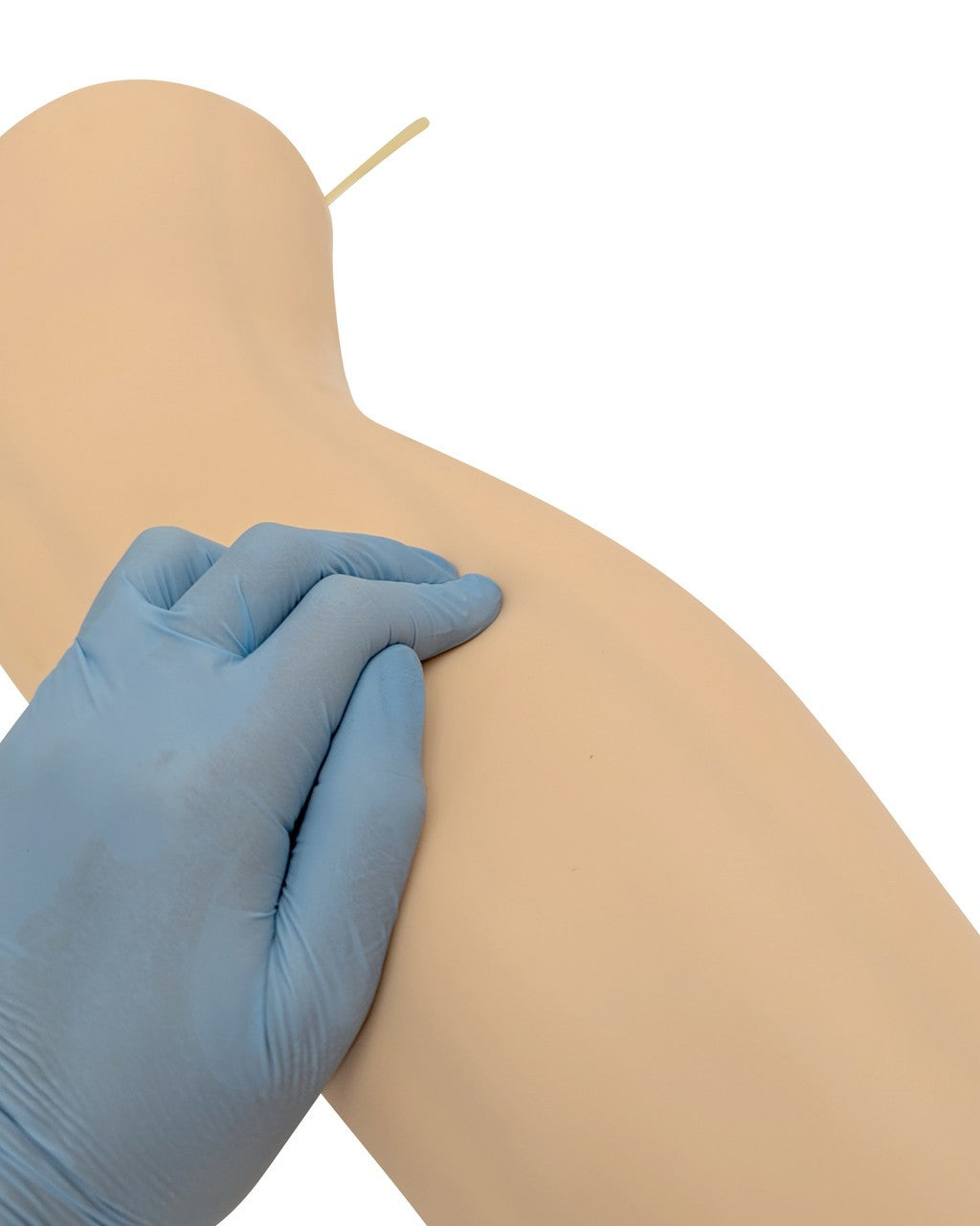 The Anatomy Lab-A-104456 IV Training Leg, 1/ea