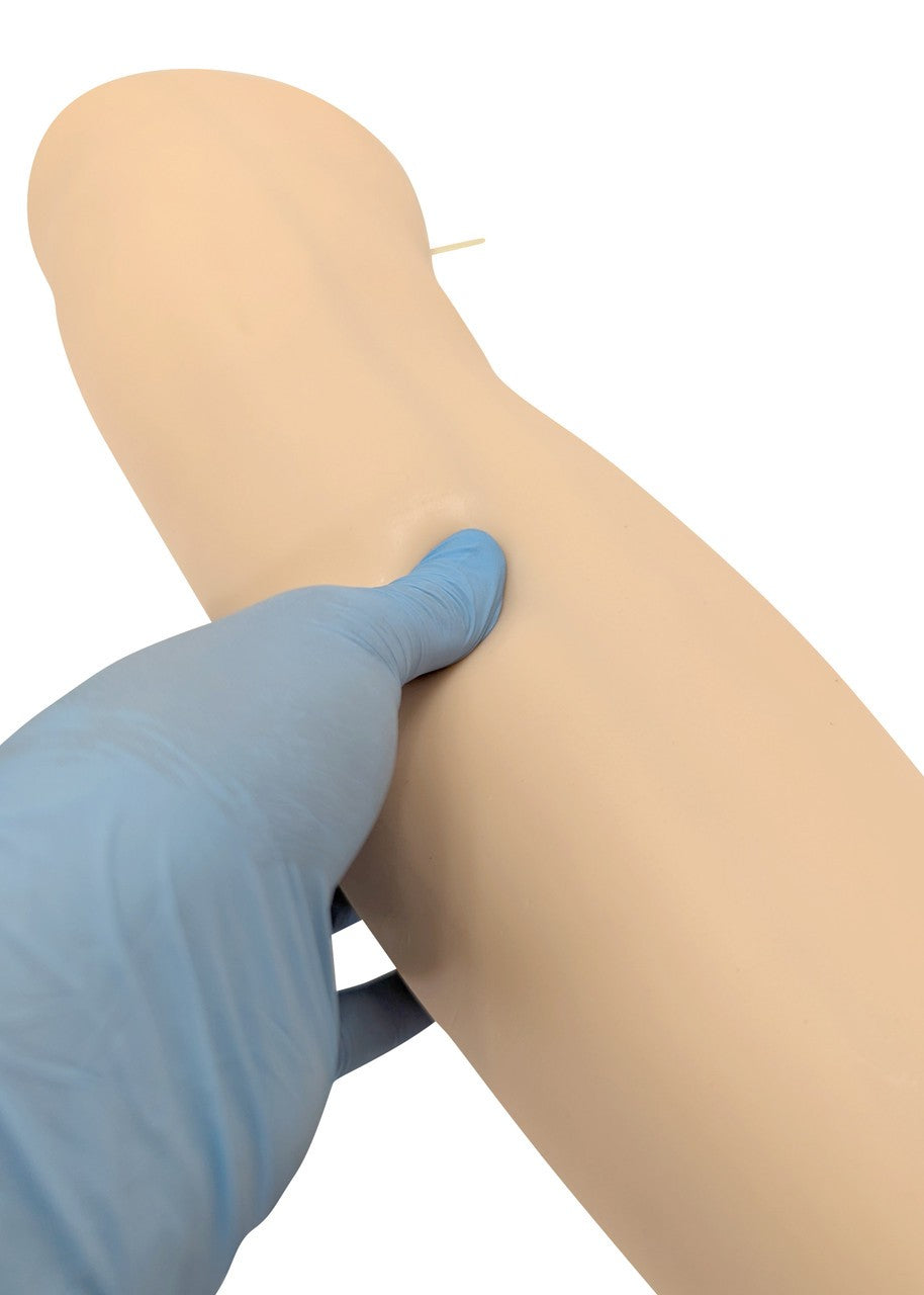 The Anatomy Lab-A-104456 IV Training Leg, 1/ea