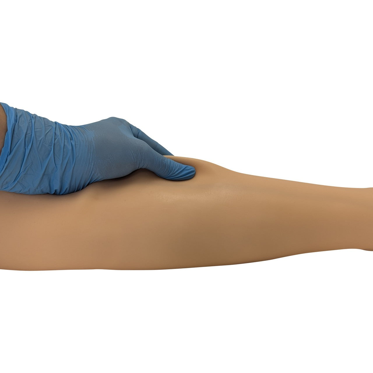 The Anatomy Lab-A-104456 IV Training Leg, 1/ea