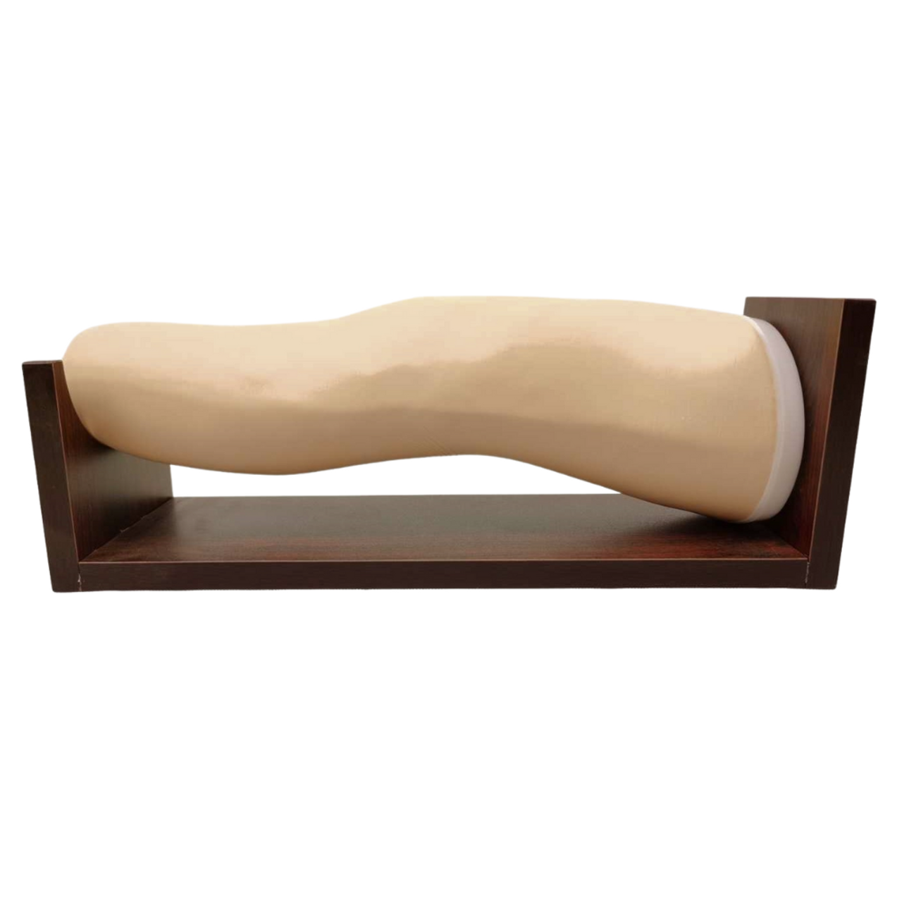 The Anatomy Lab-A-104457 Knee for Aspiration, 1/ea