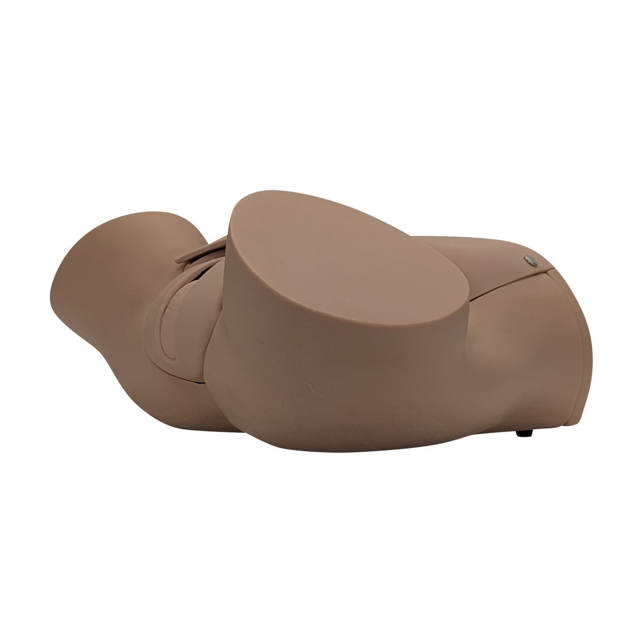 The Anatomy Lab-A-104410 Advanced Childbirth Simulator, 1/ea