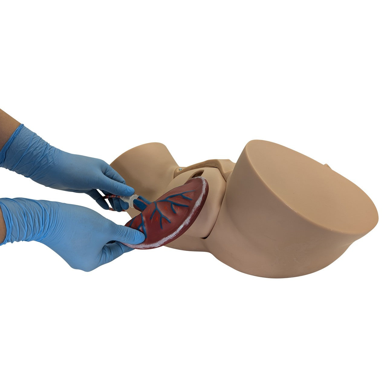 The Anatomy Lab-A-104410 Advanced Childbirth Simulator, 1/ea