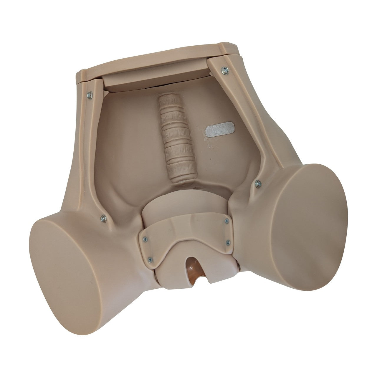 The Anatomy Lab-A-104410 Advanced Childbirth Simulator, 1/ea