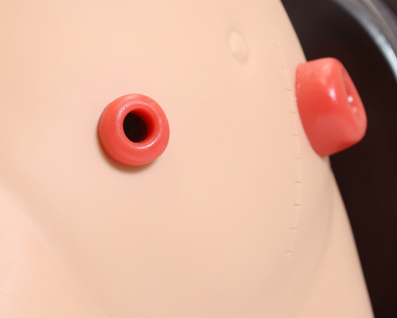 The Anatomy Lab-A-104465 Ostomy Care Simulator, 1/ea