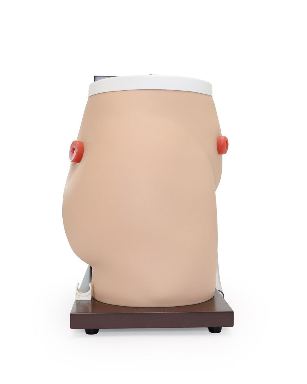 The Anatomy Lab-A-104465 Ostomy Care Simulator, 1/ea