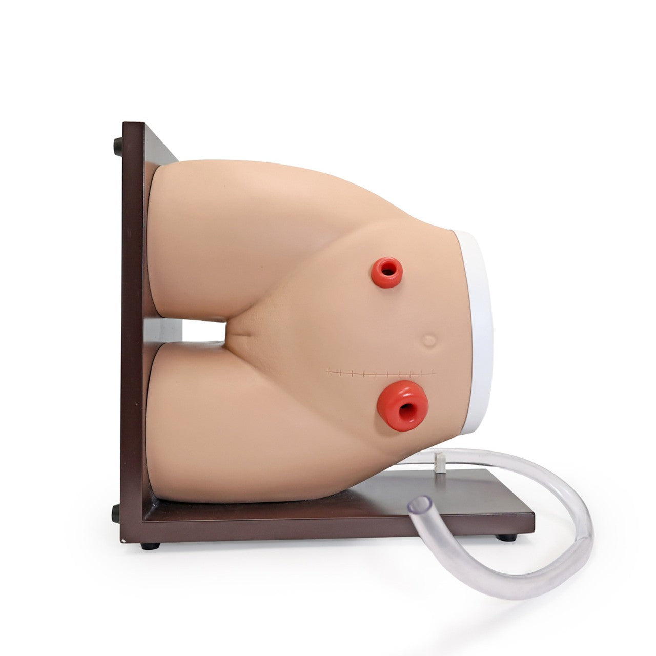 The Anatomy Lab-A-104465 Ostomy Care Simulator, 1/ea
