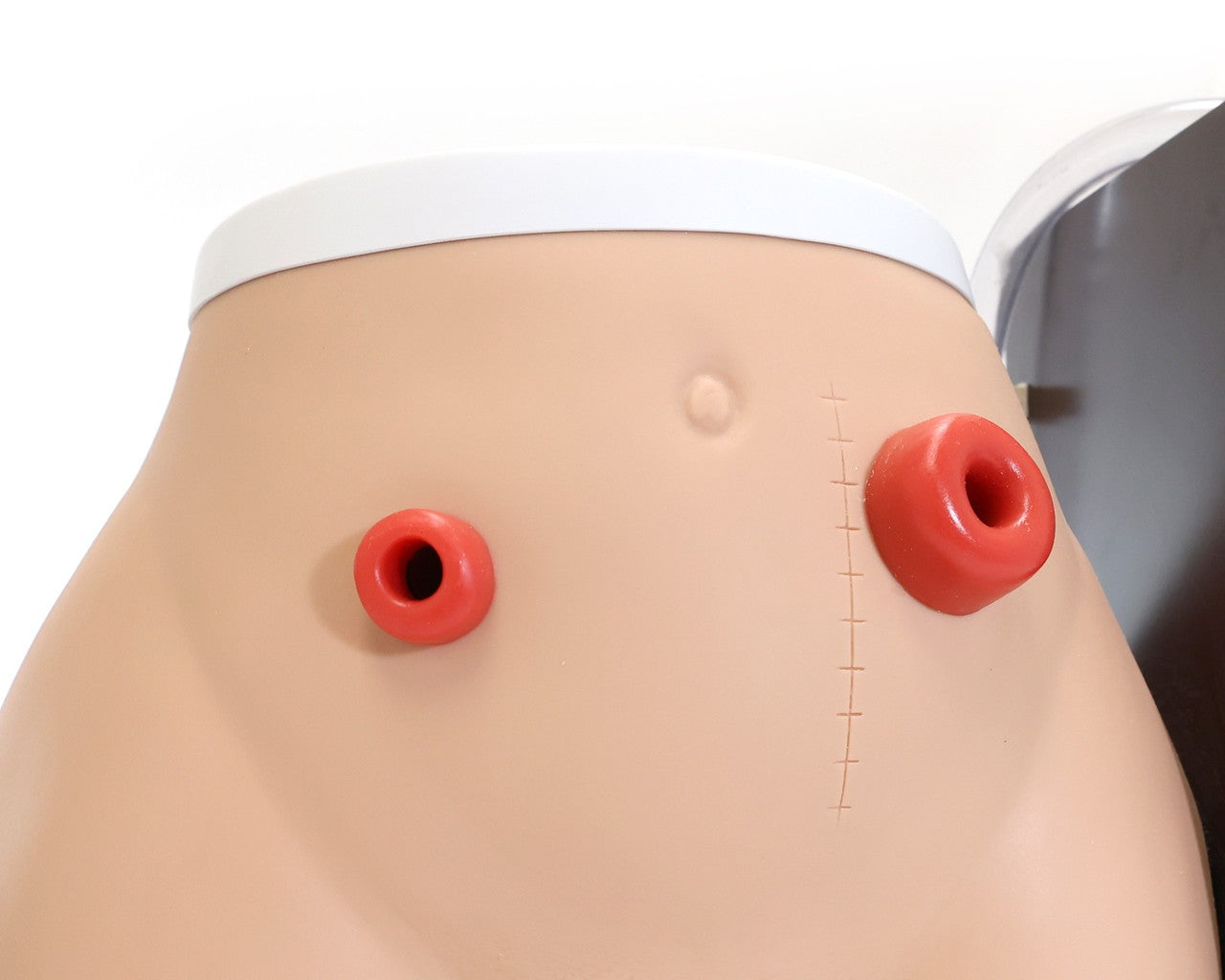 The Anatomy Lab-A-104465 Ostomy Care Simulator, 1/ea