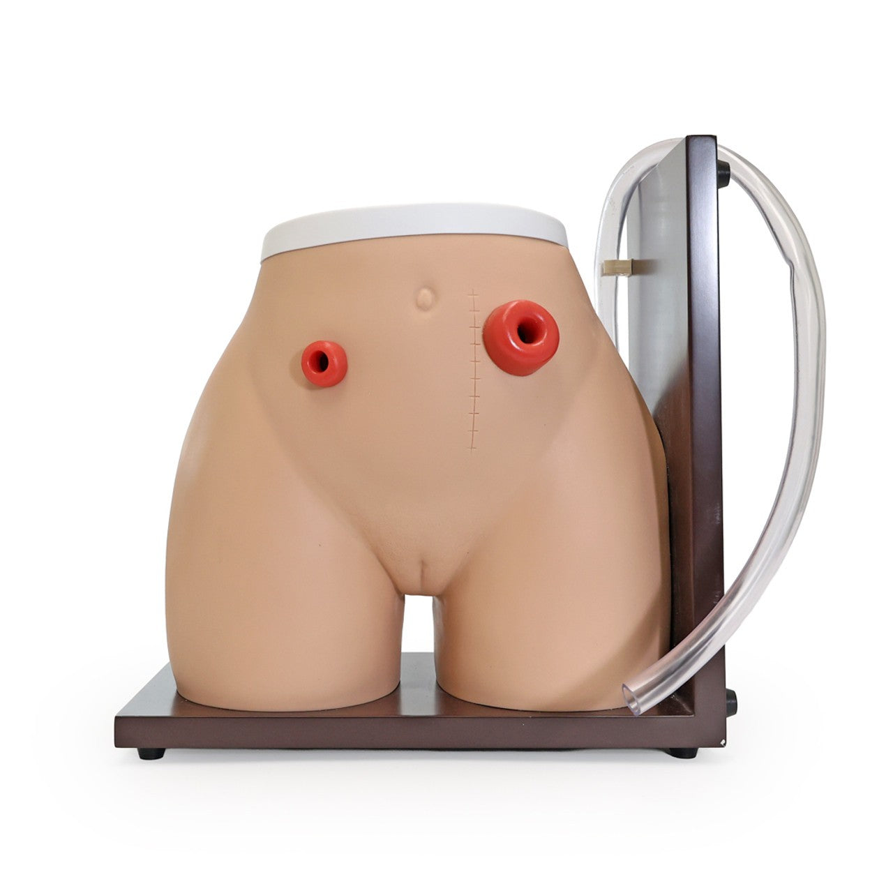 The Anatomy Lab-A-104465 Ostomy Care Simulator, 1/ea