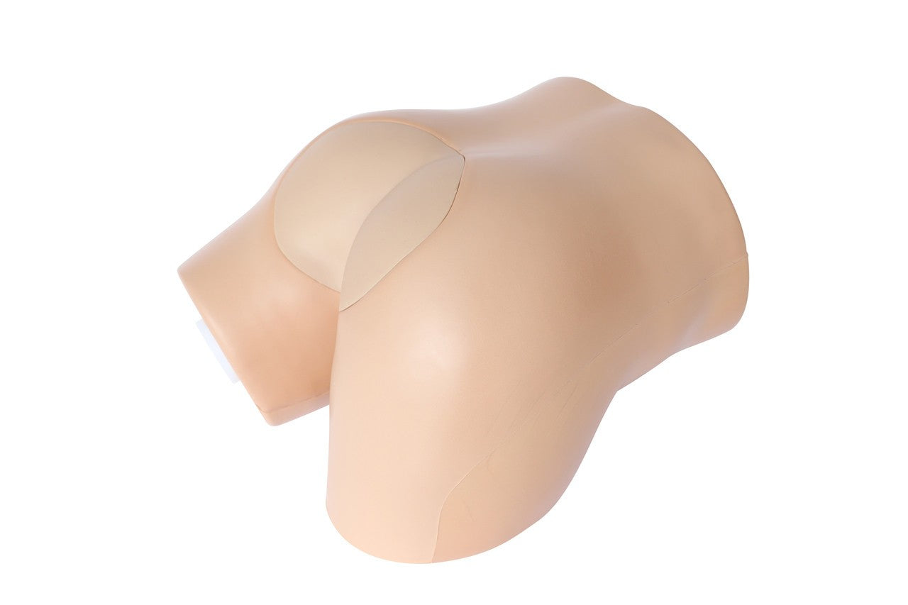 The Anatomy Lab-A-104466 Prostate Examination Simulator, 1/ea