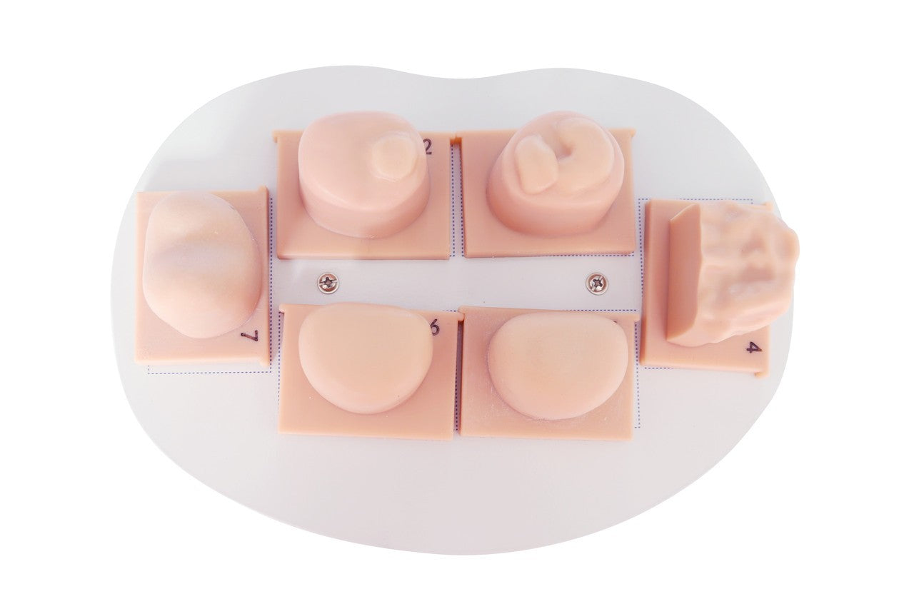 The Anatomy Lab-A-104466 Prostate Examination Simulator, 1/ea