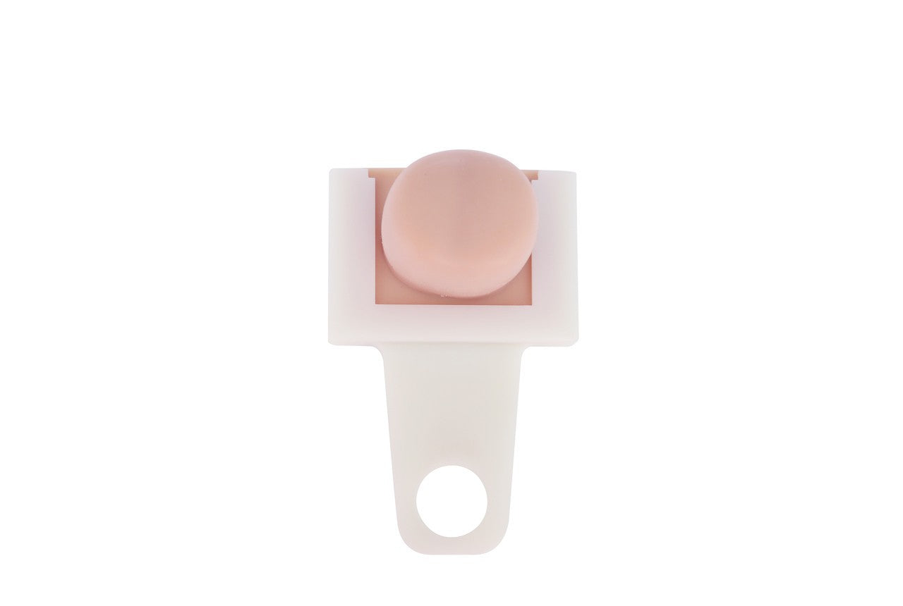 The Anatomy Lab-A-104466 Prostate Examination Simulator, 1/ea