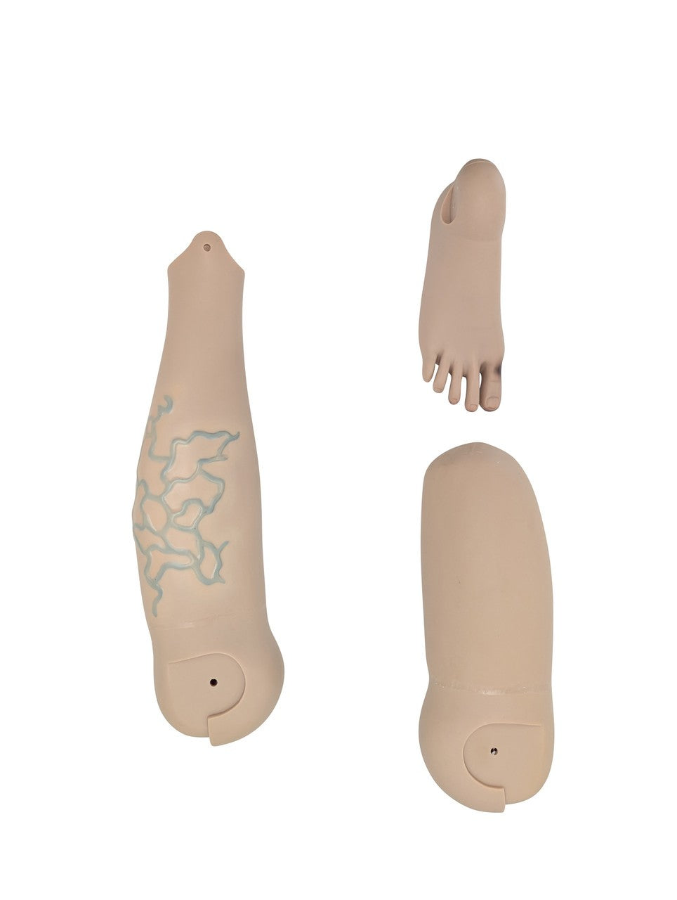 The Anatomy Lab-A-106720 All Purpose Care & Trauma Manikin, 1/ea