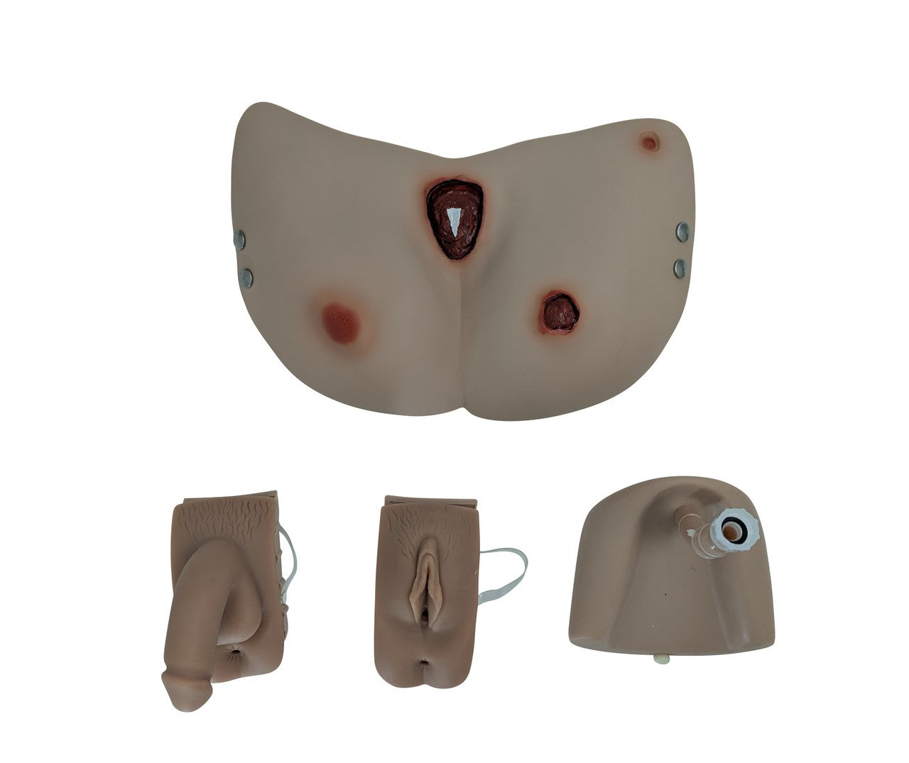 The Anatomy Lab-A-106720 All Purpose Care & Trauma Manikin, 1/ea