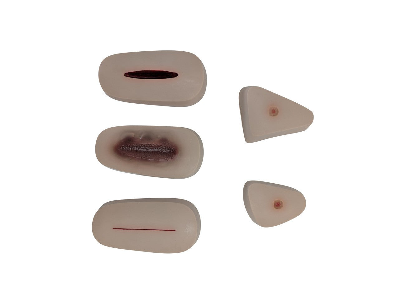 The Anatomy Lab-A-106720 All Purpose Care & Trauma Manikin, 1/ea