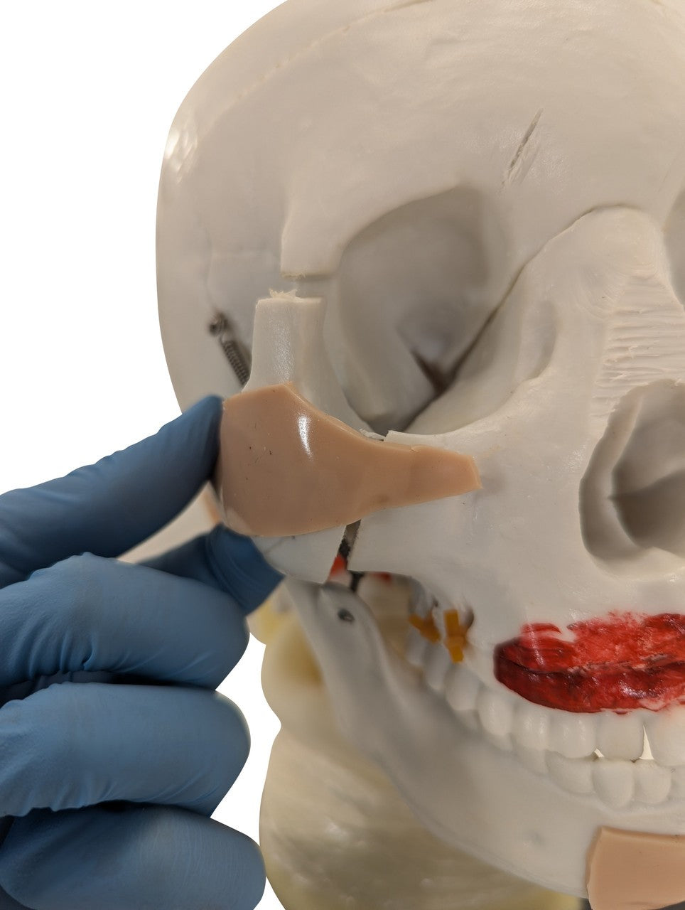 The Anatomy Lab-A-106720 All Purpose Care & Trauma Manikin, 1/ea