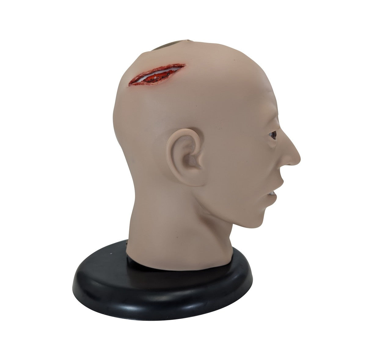 The Anatomy Lab-A-106720 All Purpose Care & Trauma Manikin, 1/ea