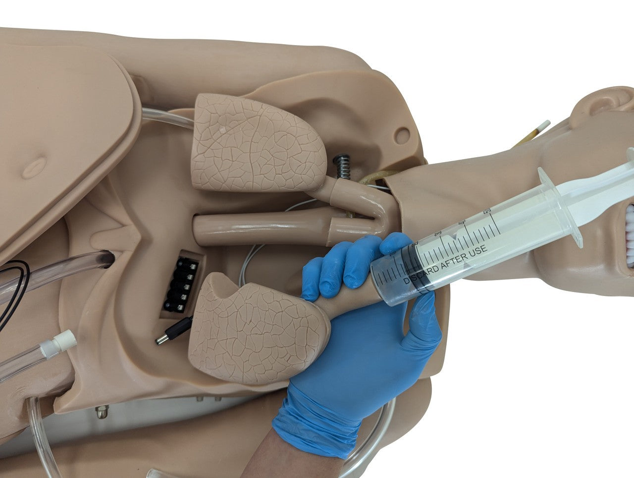 The Anatomy Lab-A-106720 All Purpose Care & Trauma Manikin, 1/ea