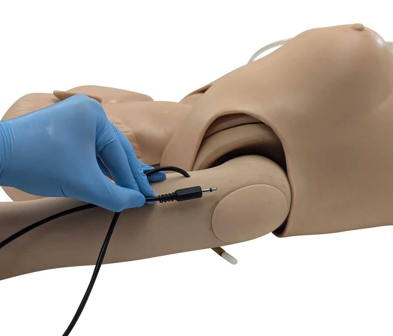 The Anatomy Lab-A-106720 All Purpose Care & Trauma Manikin, 1/ea