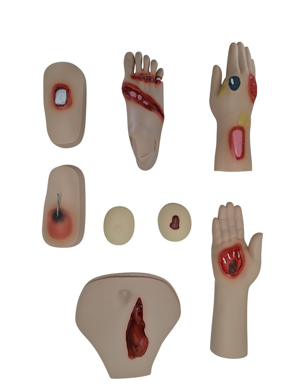 The Anatomy Lab-A-106720 All Purpose Care & Trauma Manikin, 1/ea