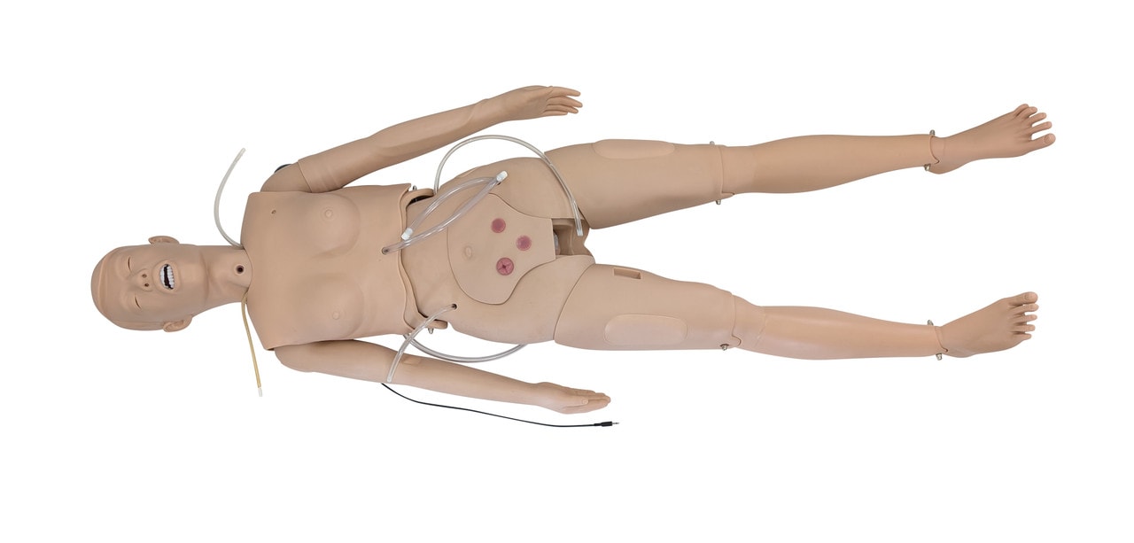 The Anatomy Lab-A-106720 All Purpose Care & Trauma Manikin, 1/ea