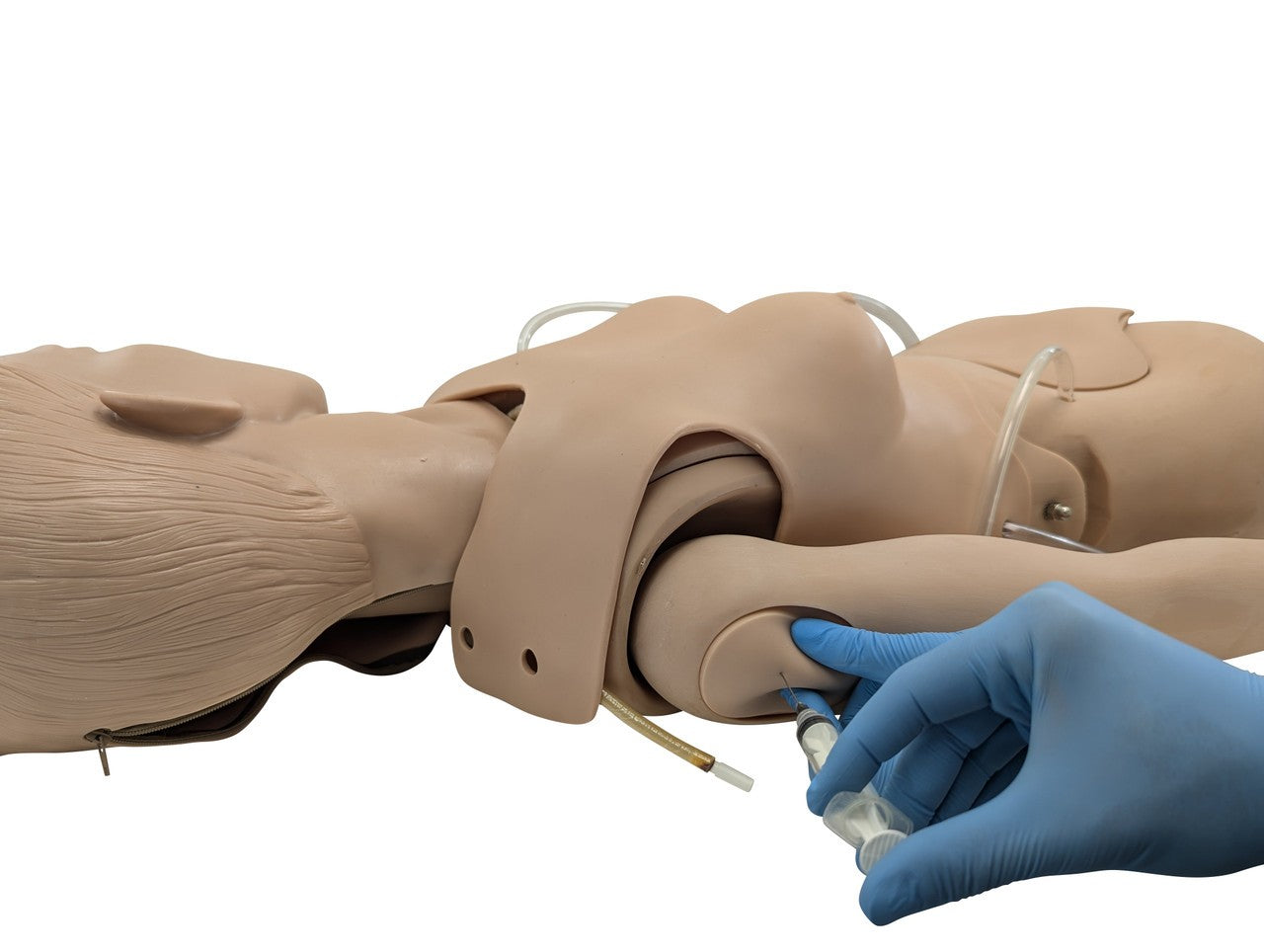 The Anatomy Lab-A-106720 All Purpose Care & Trauma Manikin, 1/ea