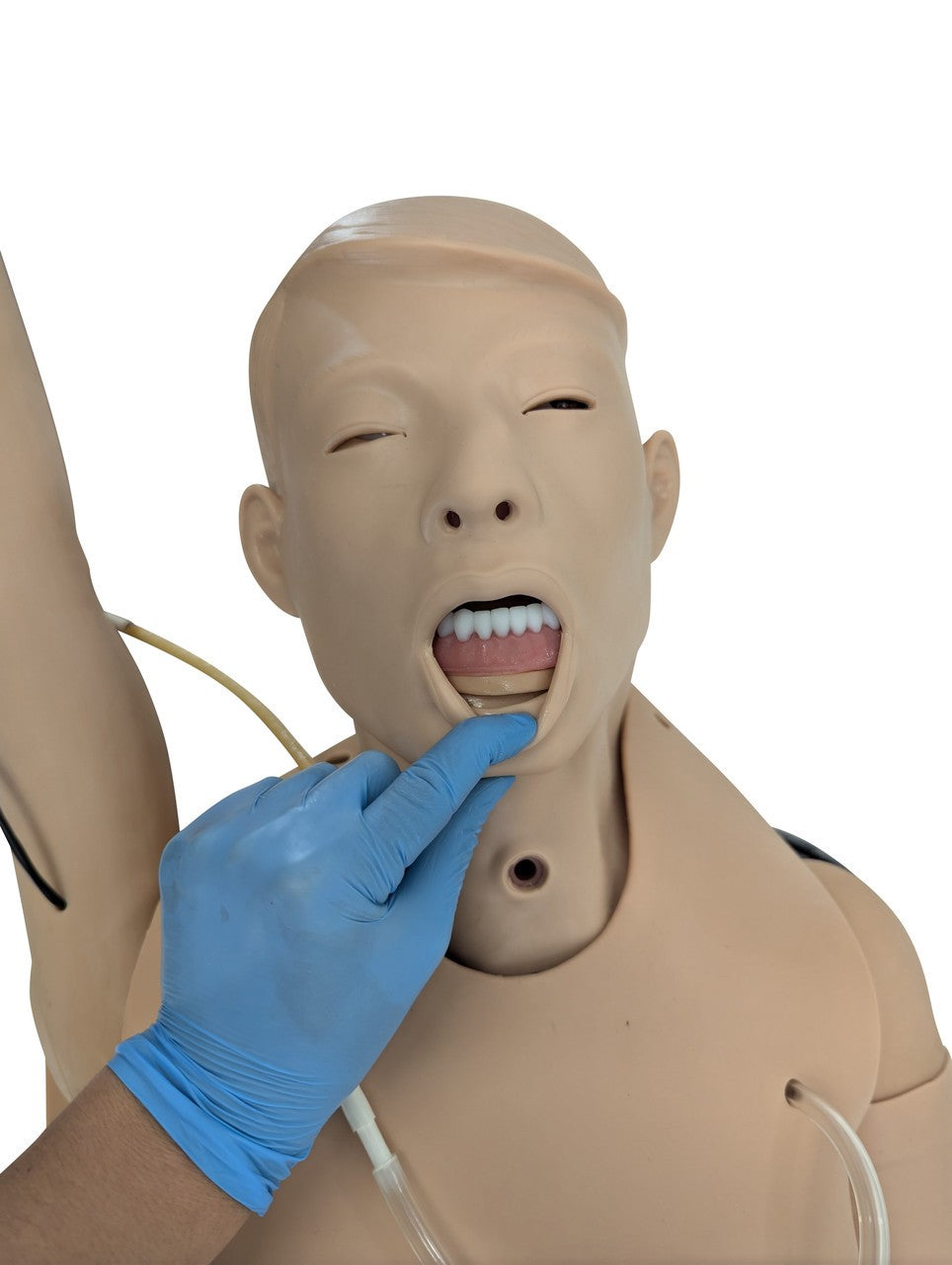 The Anatomy Lab-A-106720 All Purpose Care & Trauma Manikin, 1/ea