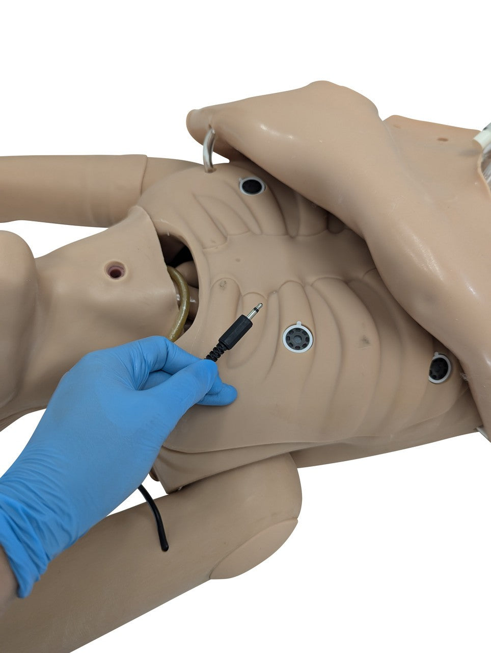 The Anatomy Lab-A-106720 All Purpose Care & Trauma Manikin, 1/ea