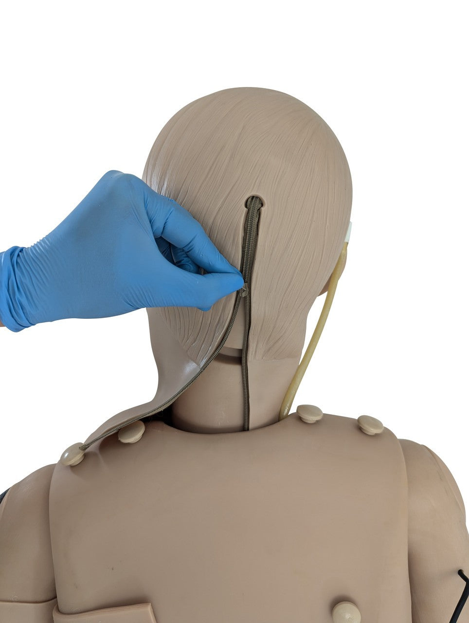 The Anatomy Lab-A-106720 All Purpose Care & Trauma Manikin, 1/ea