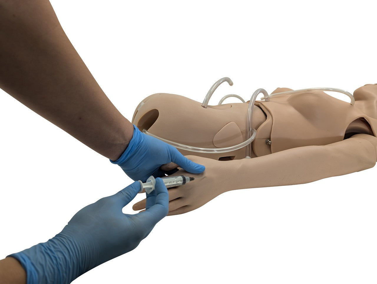 The Anatomy Lab-A-106720 All Purpose Care & Trauma Manikin, 1/ea