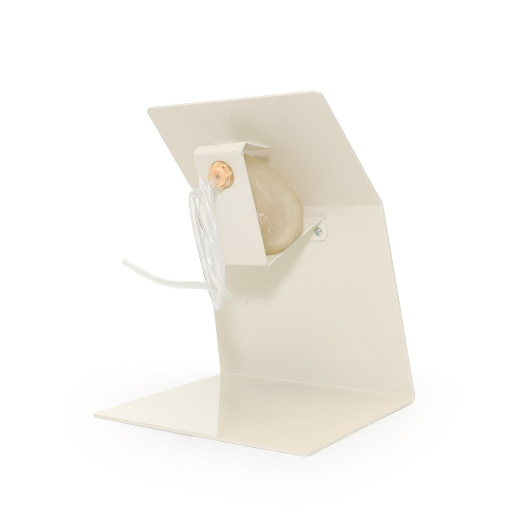 The Anatomy Lab-A-106737 Advanced Portable Female Catheterization Model