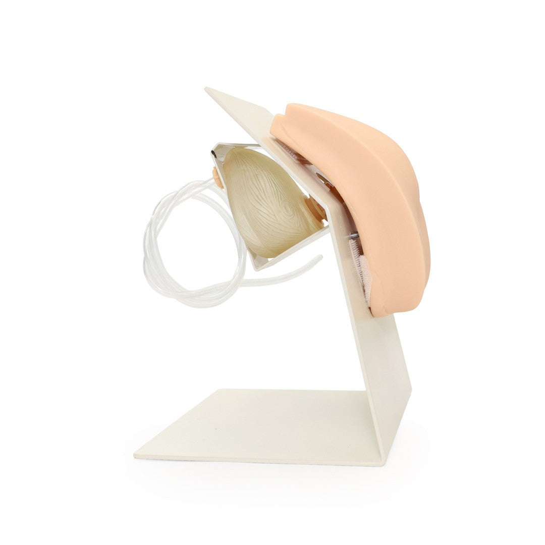 The Anatomy Lab-A-106737 Advanced Portable Female Catheterization Model