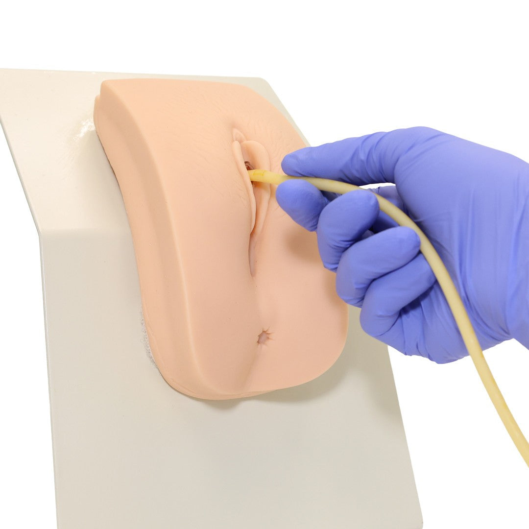 The Anatomy Lab-A-106737 Advanced Portable Female Catheterization Model