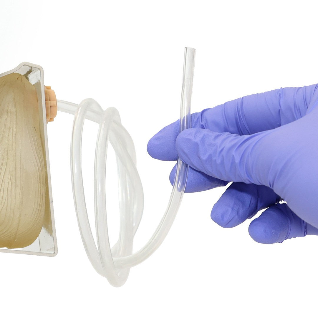 The Anatomy Lab-A-106737 Advanced Portable Female Catheterization Model