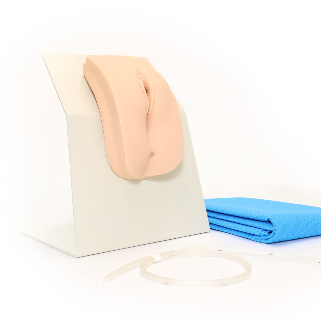 The Anatomy Lab-A-106737 Advanced Portable Female Catheterization Model