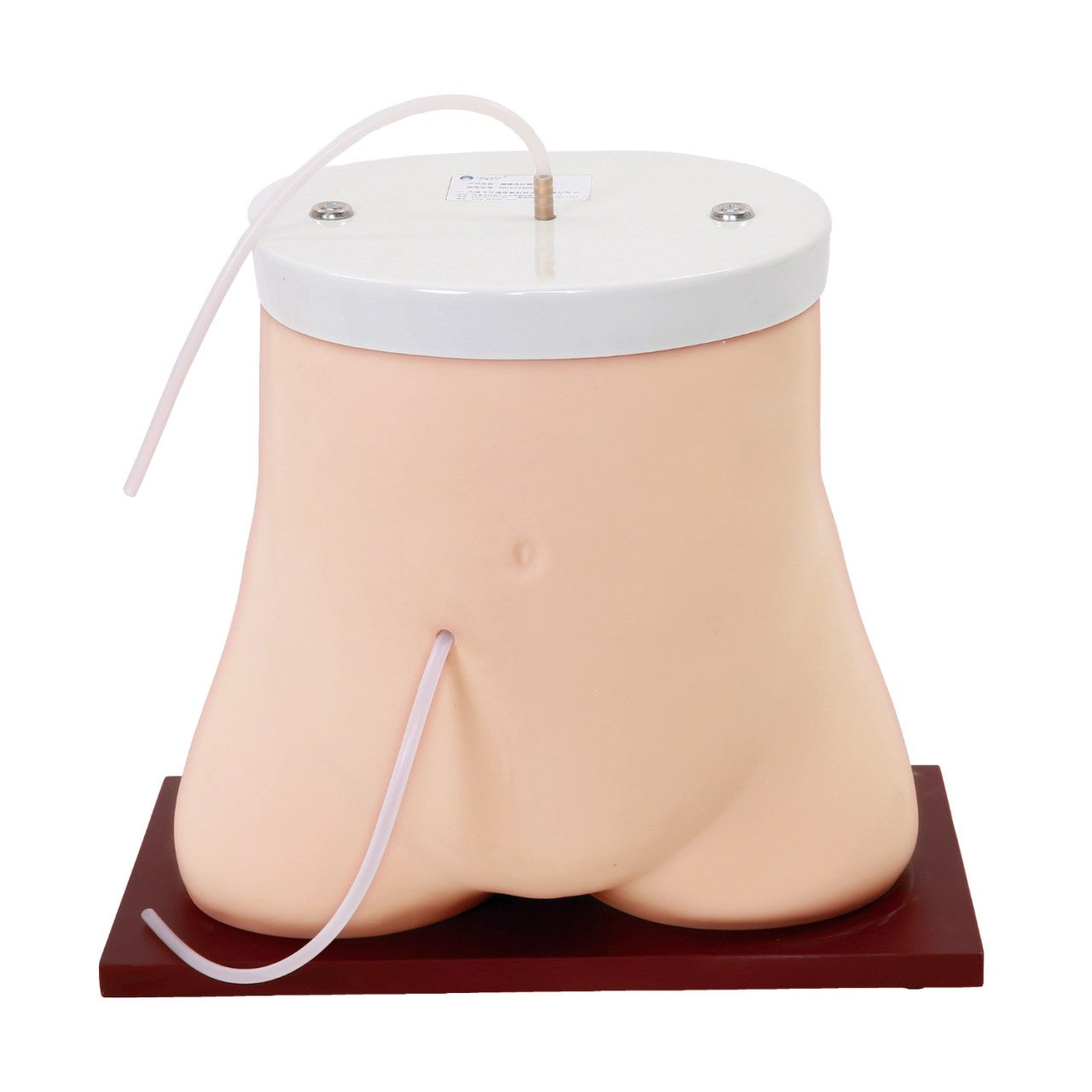 The Anatomy Lab-A-106744 Peritoneal Dialysis Model, 1/ea