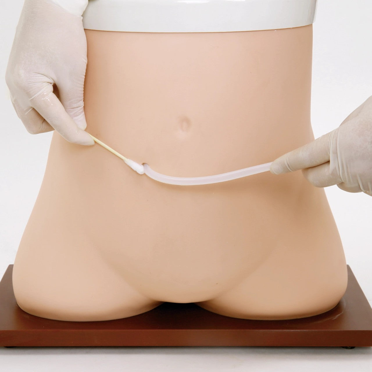 The Anatomy Lab-A-106744 Peritoneal Dialysis Model, 1/ea