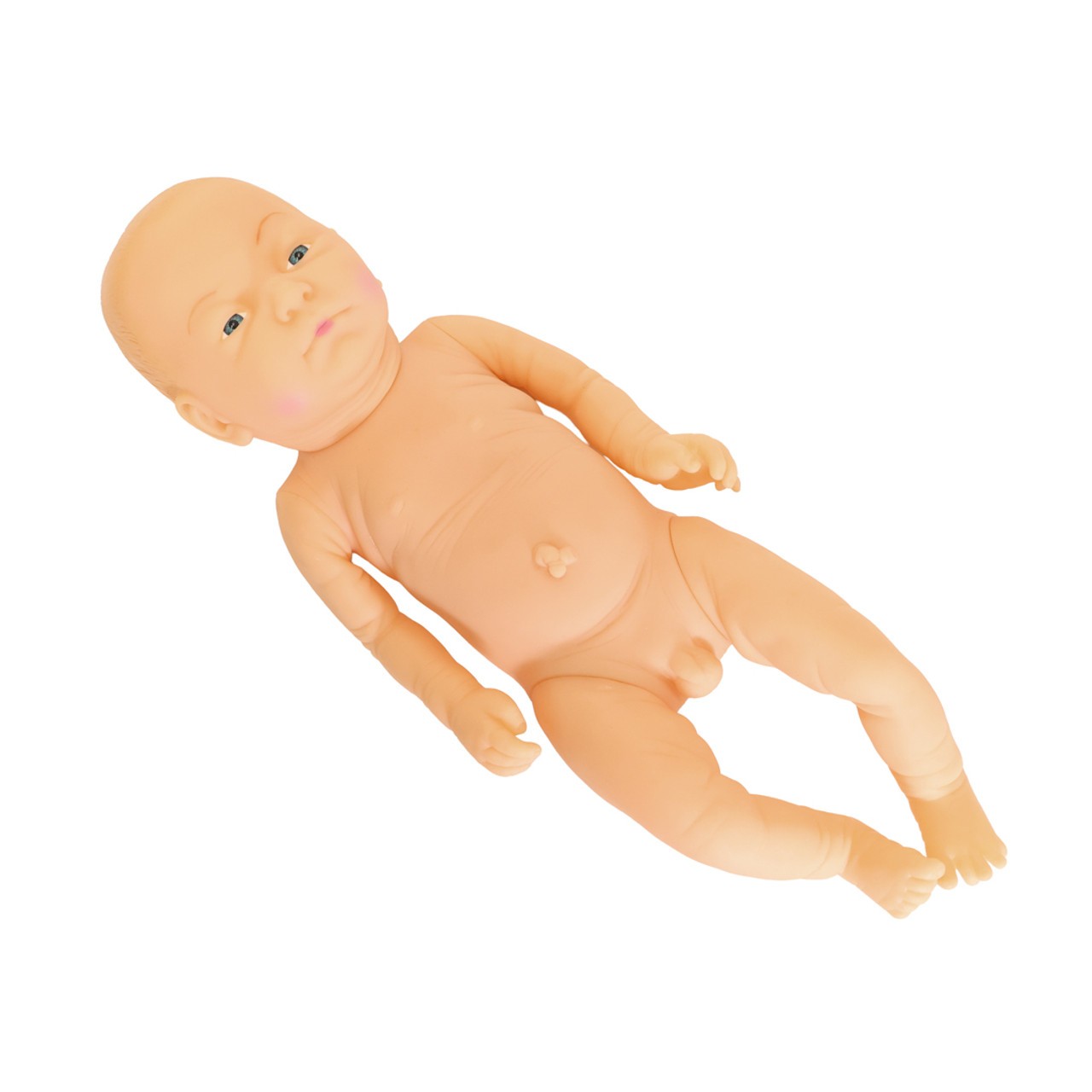 Anatomy Lab Neonate Care Manikin, 1/ea