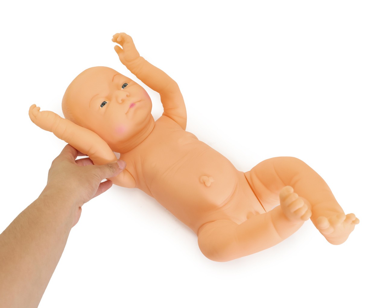 Anatomy Lab Neonate Care Manikin, 1/ea