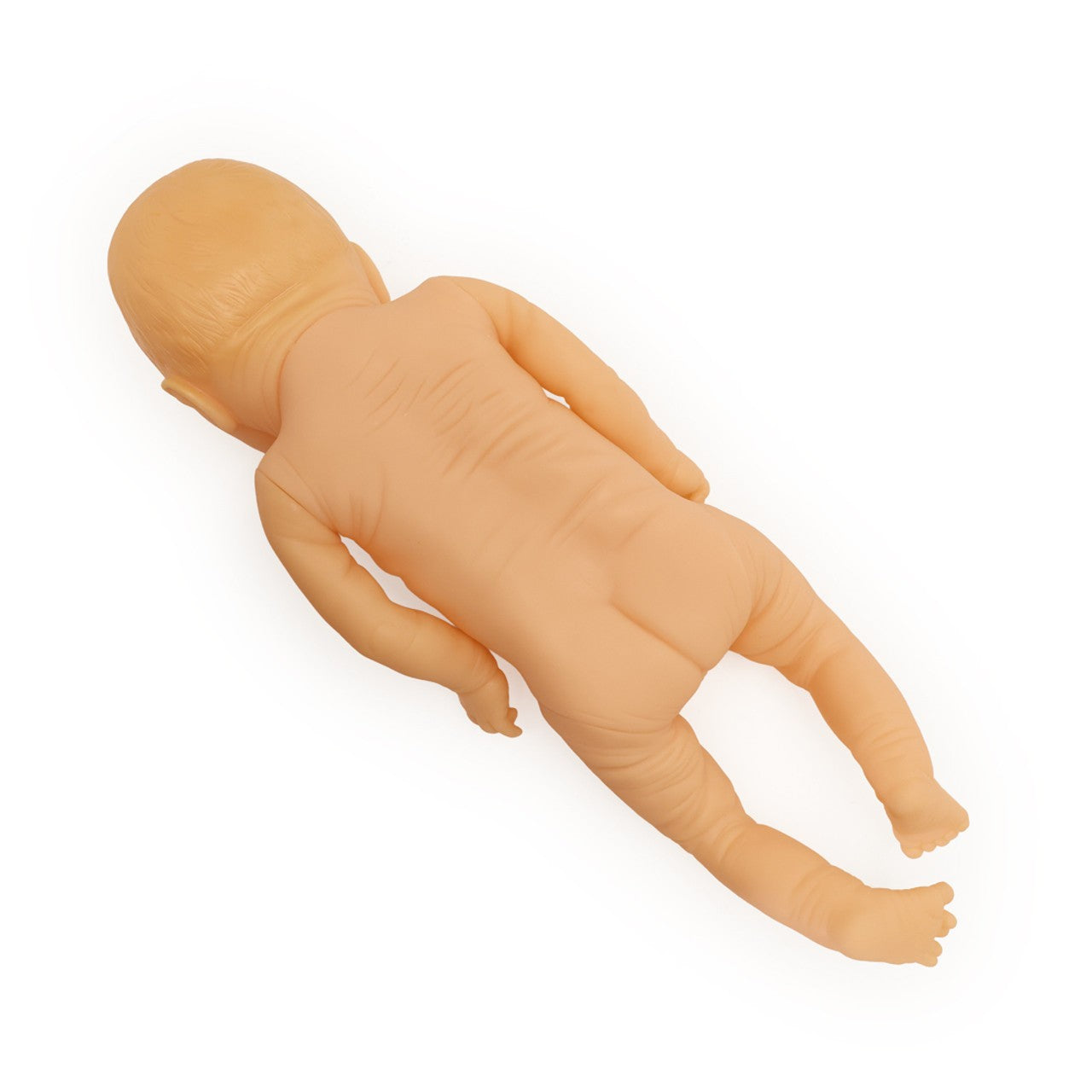 Anatomy Lab Neonate Care Manikin, 1/ea