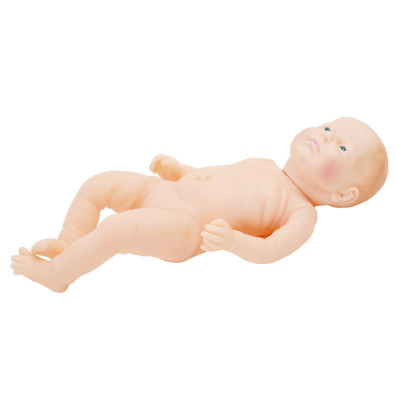 Anatomy Lab Neonate Care Manikin, 1/ea