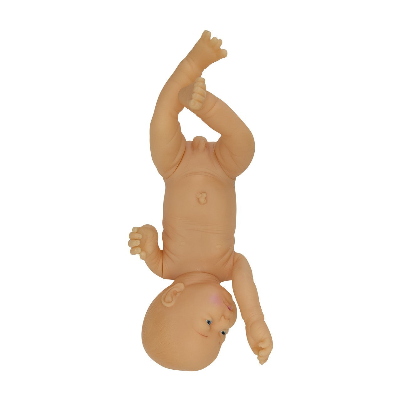 The Anatomy Lab-A-106751 Infant Tracheostomy Care Manikin