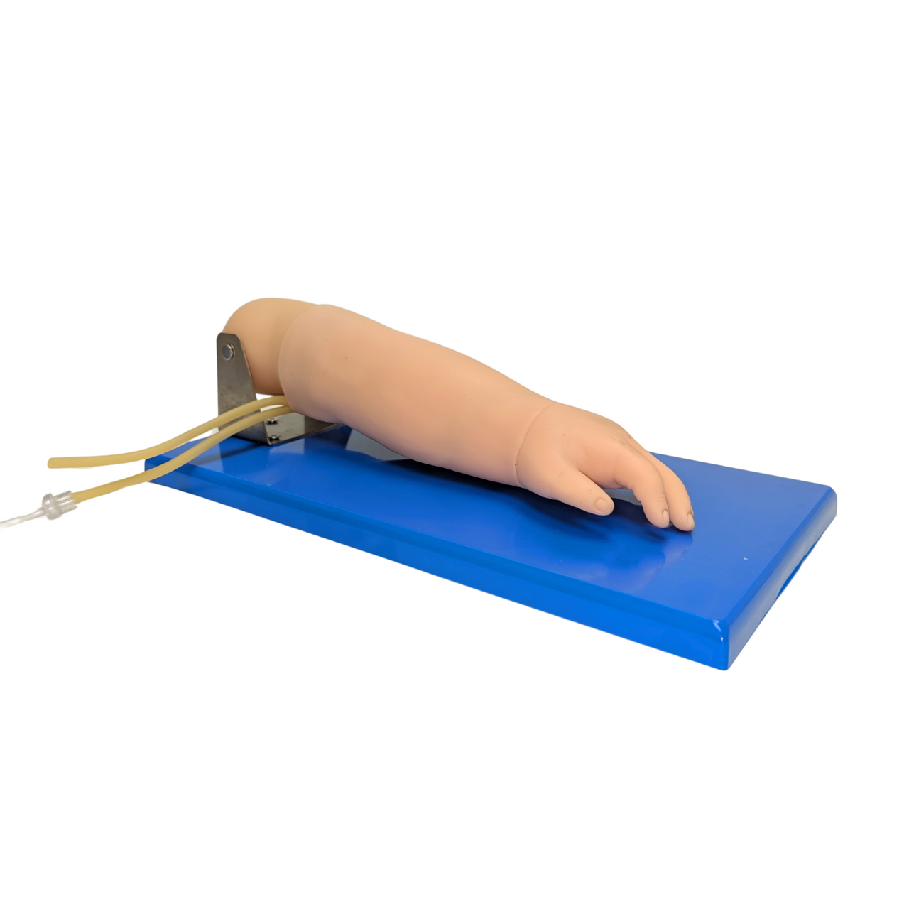 The Anatomy Lab-A-106765 Advanced Pediatric Venipuncture Arm Model