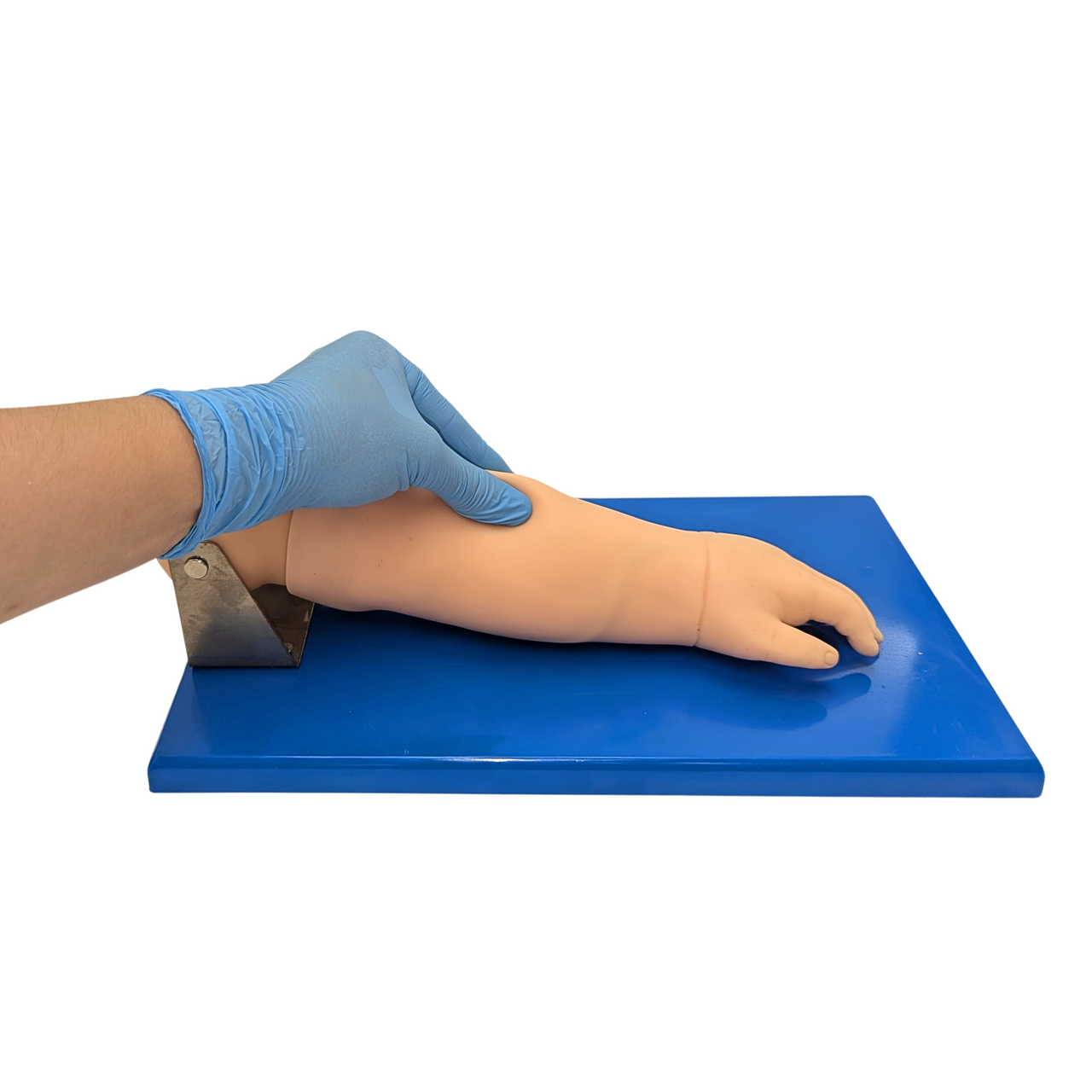 The Anatomy Lab-A-106765 Advanced Pediatric Venipuncture Arm Model