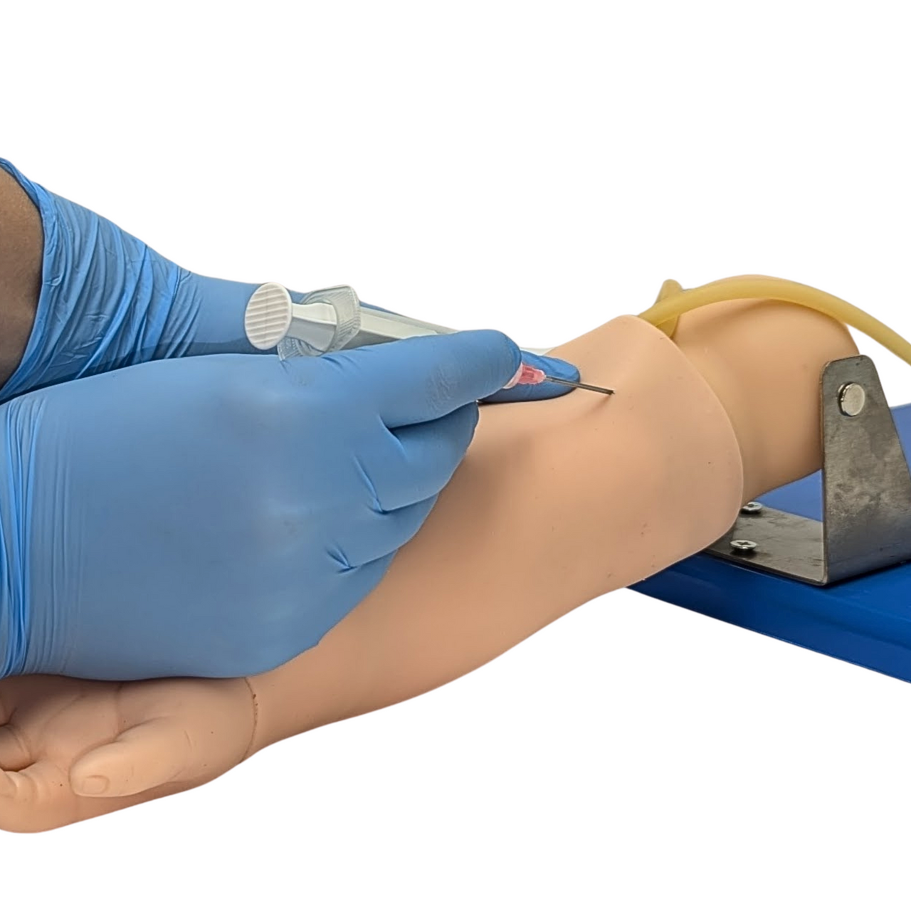 The Anatomy Lab-A-106765 Advanced Pediatric Venipuncture Arm Model