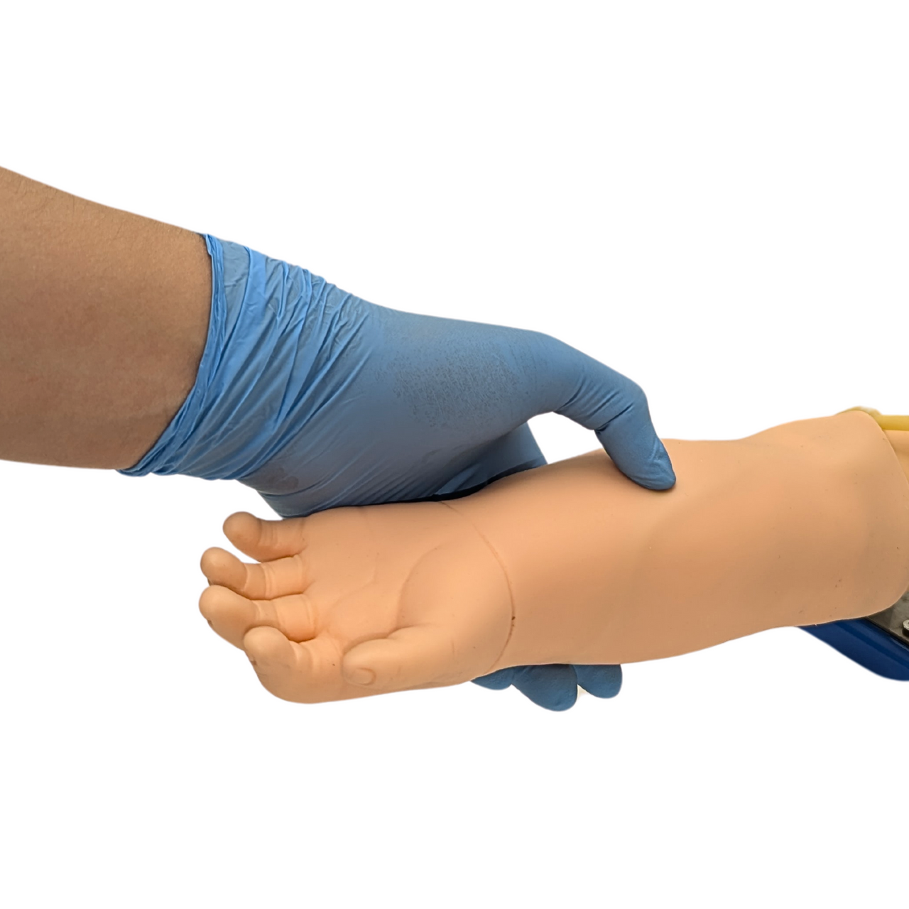 The Anatomy Lab-A-106765 Advanced Pediatric Venipuncture Arm Model