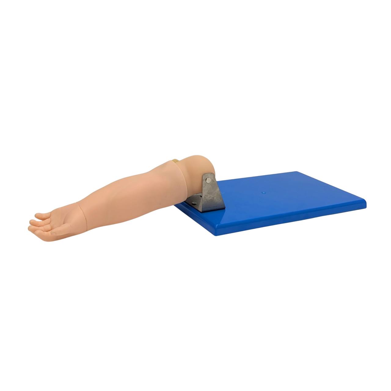 The Anatomy Lab-A-106765 Advanced Pediatric Venipuncture Arm Model