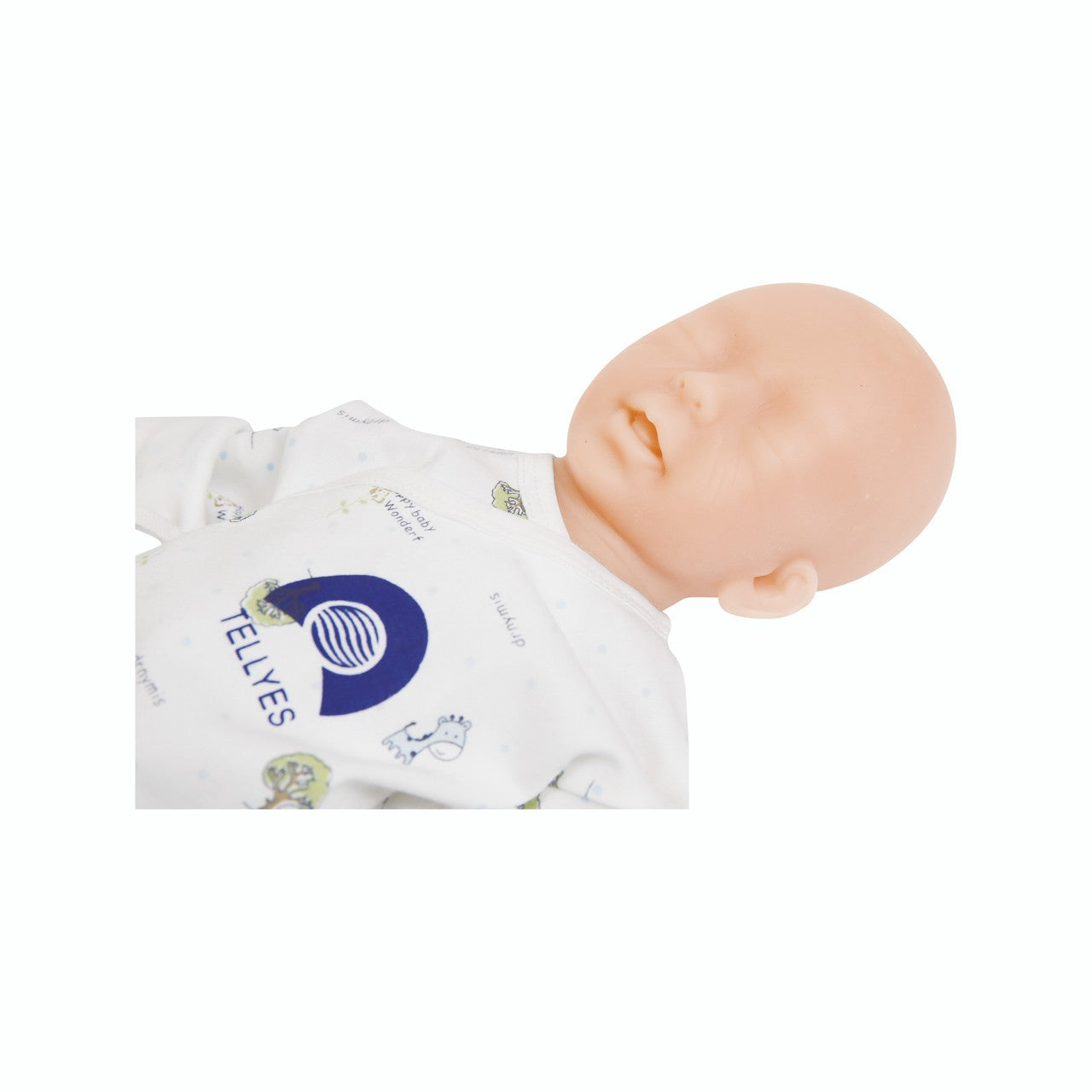 The Anatomy Lab-A-106766 Twenty-four Weeks Premature Infant Model, 1/EA