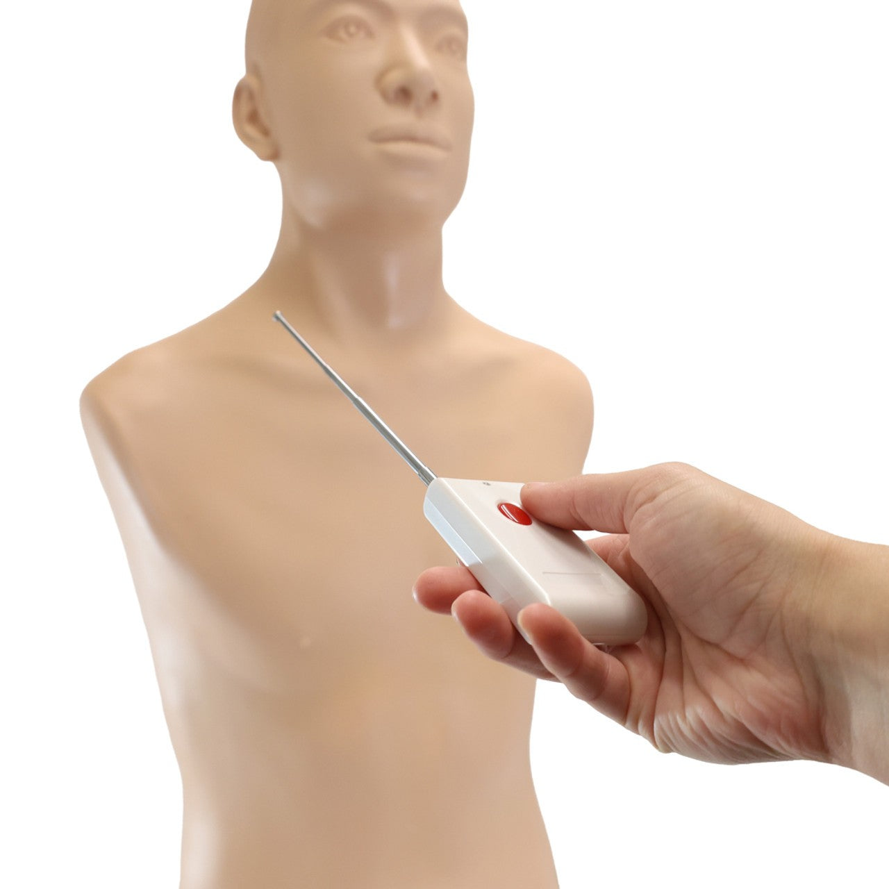 The Anatomy Lab-A-106776 Thyroid Gland Examination Simulator, 1/ea